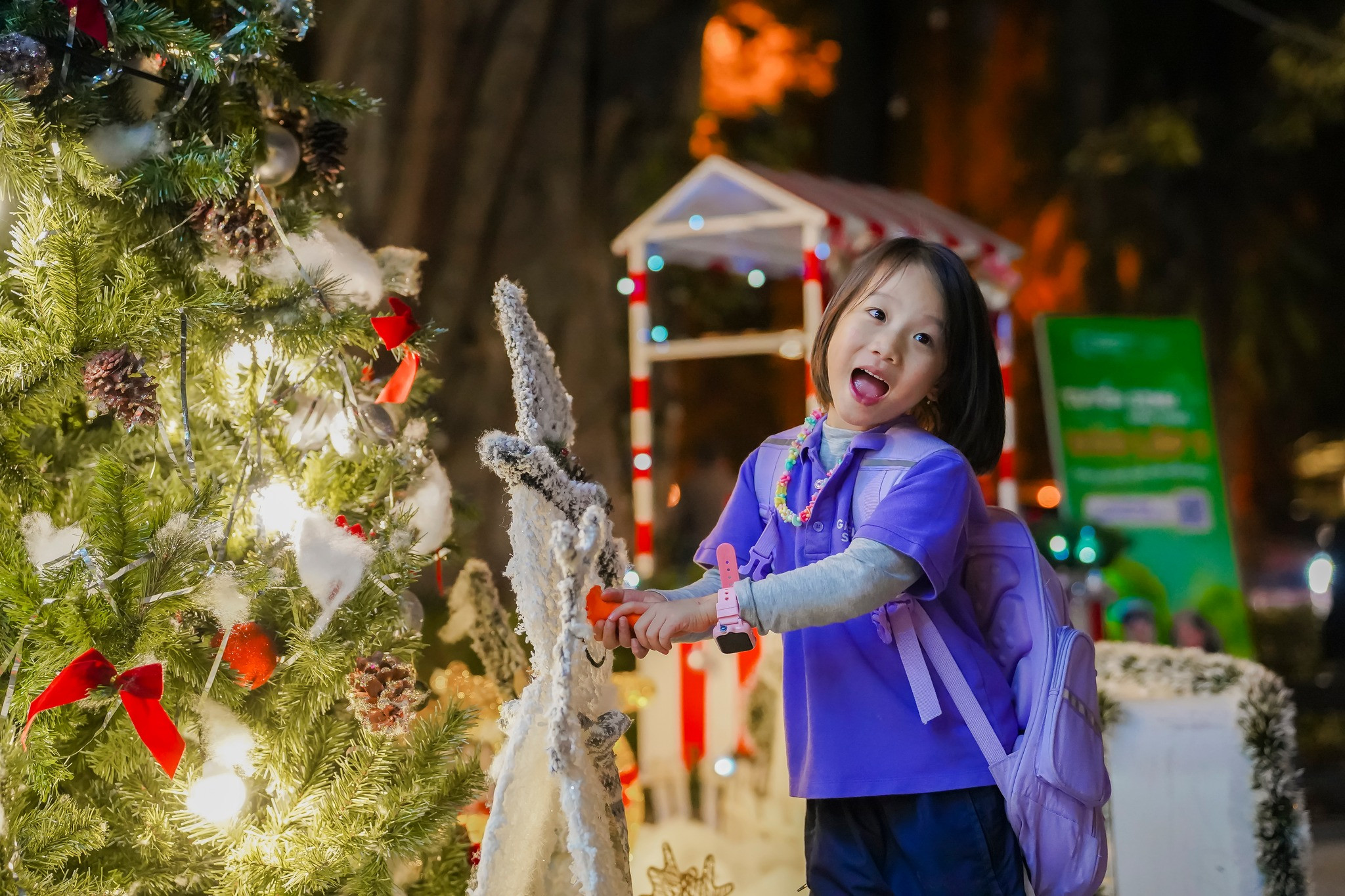 Lễ hội Giáng sinh 2025 - Snowy Land