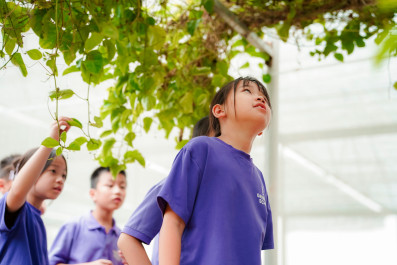 Learning and experiencing in a green space with Grade 4 students